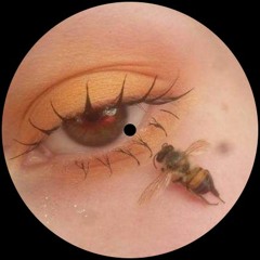 i think i fell in love with a bee