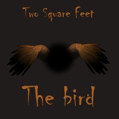 Two square feet - The bird