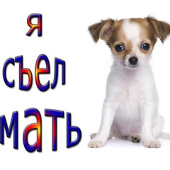 где моя саранча???77