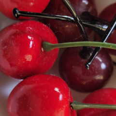 Sorry Celine, I Can't Come Back (Vocal and Acoustic Guitar)