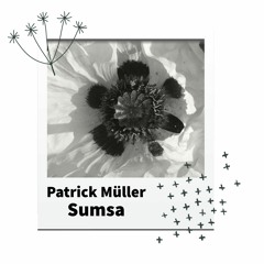 Patrick Müller - Sumsa (Original Mix) Hallucinogen Records