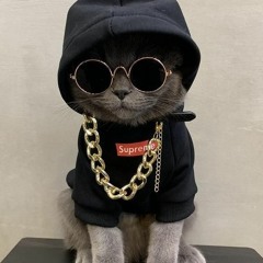 Gangsta