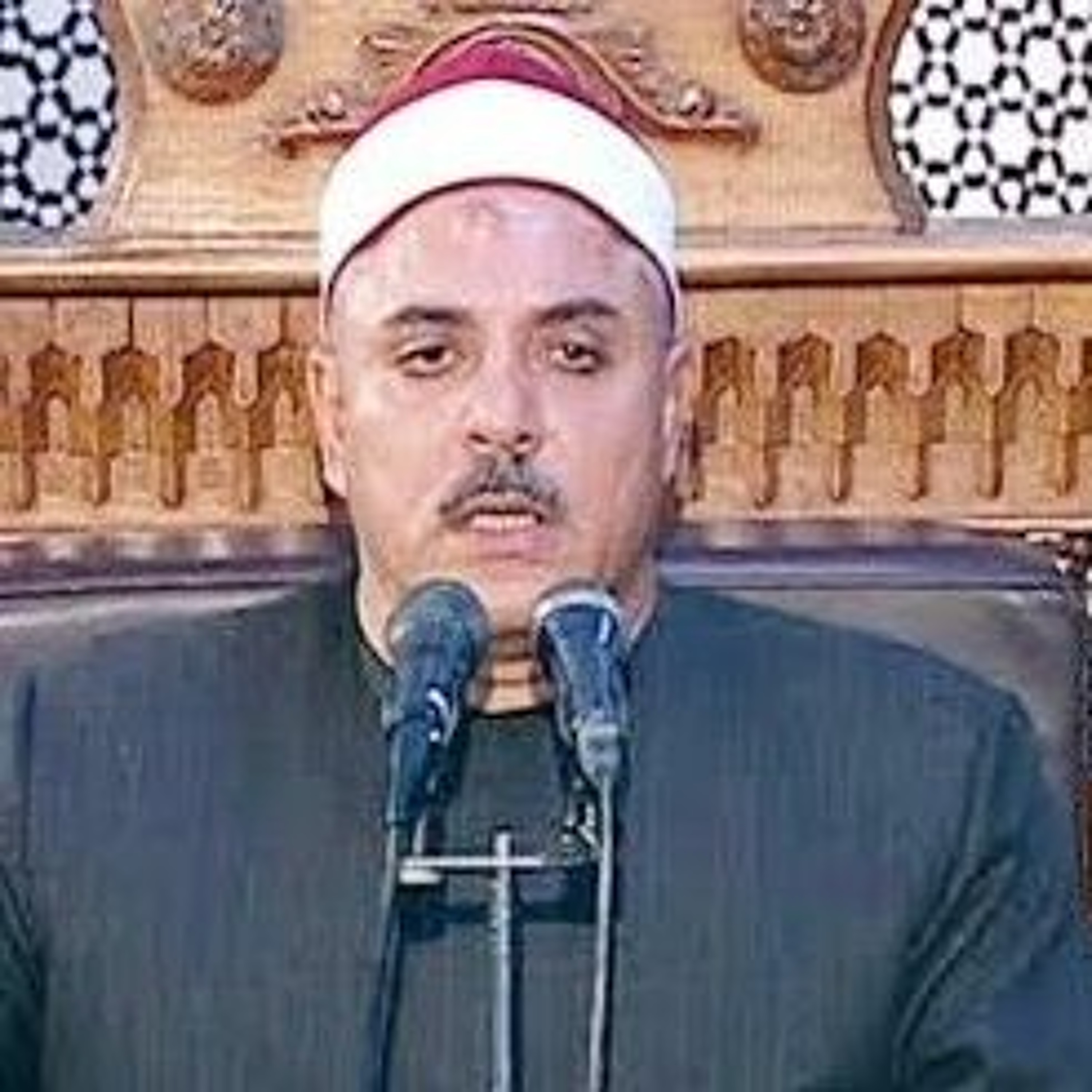 الآيات 164_174 من سورة آل عمران الشيخ إسماعيل  السيد طنطاوي رحمه الله episode artwork