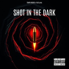 SHOT IN THE DARK