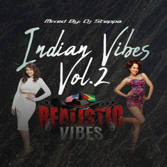 REALISTIC VIBES INDIAN VIBES VOL.2