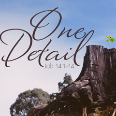 SOTV Message - Job Series - "One Detail" - Job 14:1-14 - 3/8/26