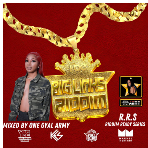 BIG LINKS RIDDIM ( RIDDIM READY SERIES )