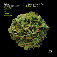 Dafne in lauro, K308: No. 1, Sinfonia