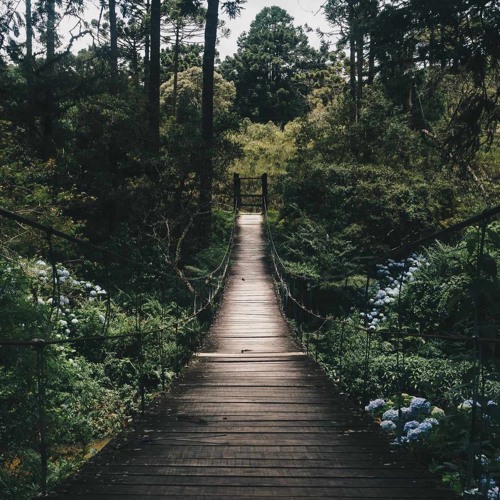 A Journey Through A Magical Summer [SoHum's Reflection Mix (Hybrid Set)]
