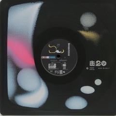 Unknown Musician - Salaj