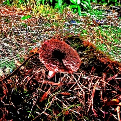 Όλα είναι χάλια