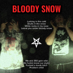 350352995 X BIRDZ - BLOODY SNOW (PROD. ICYSOUL) **MV IN DESCRIPTION**