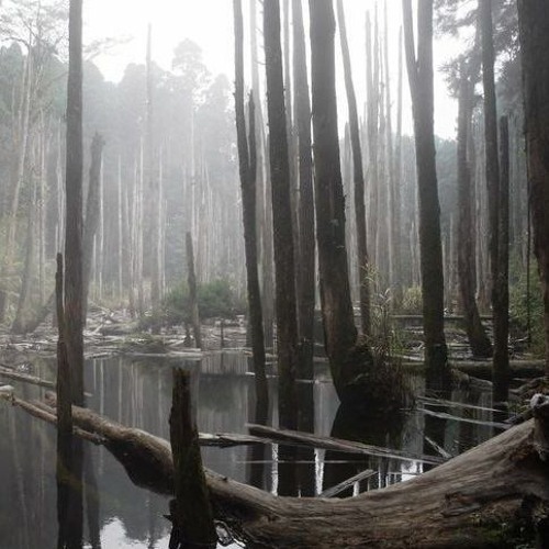 D3 KOZMOPOLITAN - YAK  (slowed & reverb)