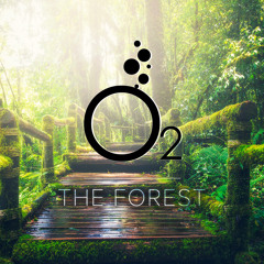 The Forest (Radio Edit)