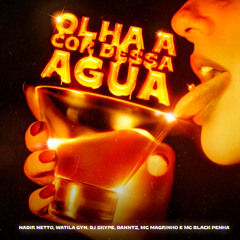 Olha a Cor Dessa Água · Nadir Netto · Watila GYN · DJ Skype · DANNTZ! · Mc Magrinho · MC BLACK DA PENHA