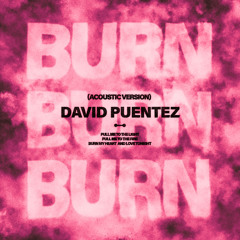 Burn (Acoustic Version)