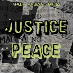 No justice No peace Ft WLA Flag WLA Stevo