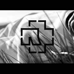 [RAMMSTEIN] • SCHWARZ • COVER