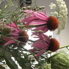 Summer 2024 - July 29 Four