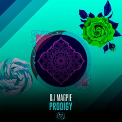 Dj Magpie - Prodigy