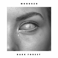 Dark Forest - Zoltan Monori