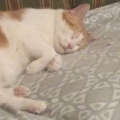 2- A Neon Reflection WIP