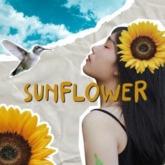 SUNFLOWER - ELF X TARCHI