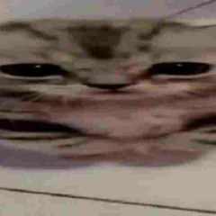 SHINEE!! - Only Luv Vibes (Prod.izzy)