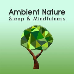 Ambient Nature Sleep Sounds, Pt. 49