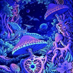 Rook - Psytrance Rajanje @ Mizzart - Metelkova, Ljubljana 6.3.2020 "free download"