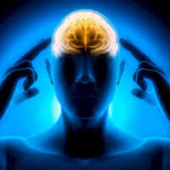 CONCENTRATE