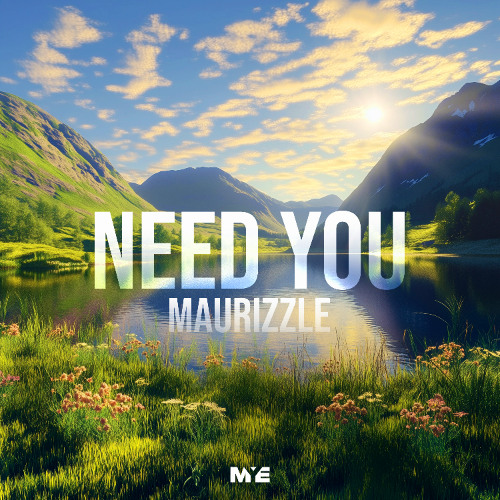 Maurizzle - Need You