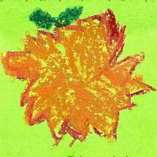 lucra400 picking datafruits (december2024)