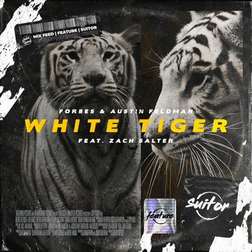 Forbes & Austin Feldman feat. Zach Salter - White Tiger [ FREE DOWNLOAD ]