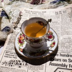 Ginseng Brew (w/ yungmerrin)
