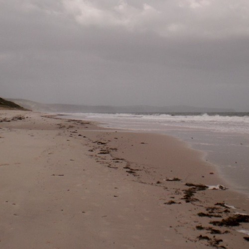 FKISM: Carrickalinga Beach - May 2015