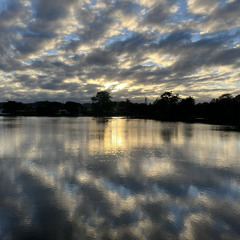 for a moment i thought i was going to heaven (Day 7, Jamuary 2025)