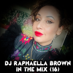 DJ Raphaella Brown In The Mix (16)