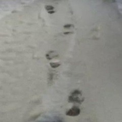 RŌHLIQUE! - Emotioneless Bitch (prod.dentist)