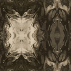 Ray Flux @ Fraktal 2013