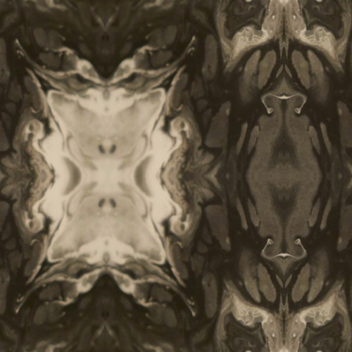 Ray Flux @ Fraktal 2013