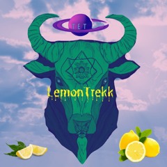 T.E.T. Project 1  - Lemon Trekk build up