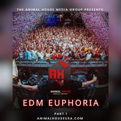 AH's EDM Euphoria Mix: Part 1