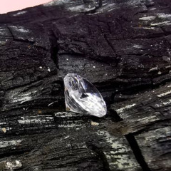 StgAuto Type Beat - Diamond