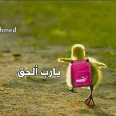 الله بقي الغبطه دي ايه