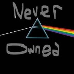 Never Owned Dark Side of the Moon