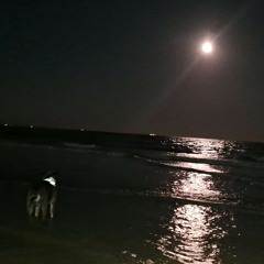 some songs ive been listening to recently