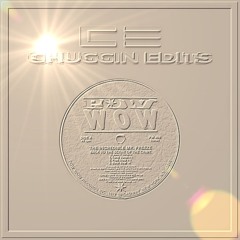 The Incredible Mr Freeze - Back To The Scene Of The Crime (Chuggin Edits) FREE MP3