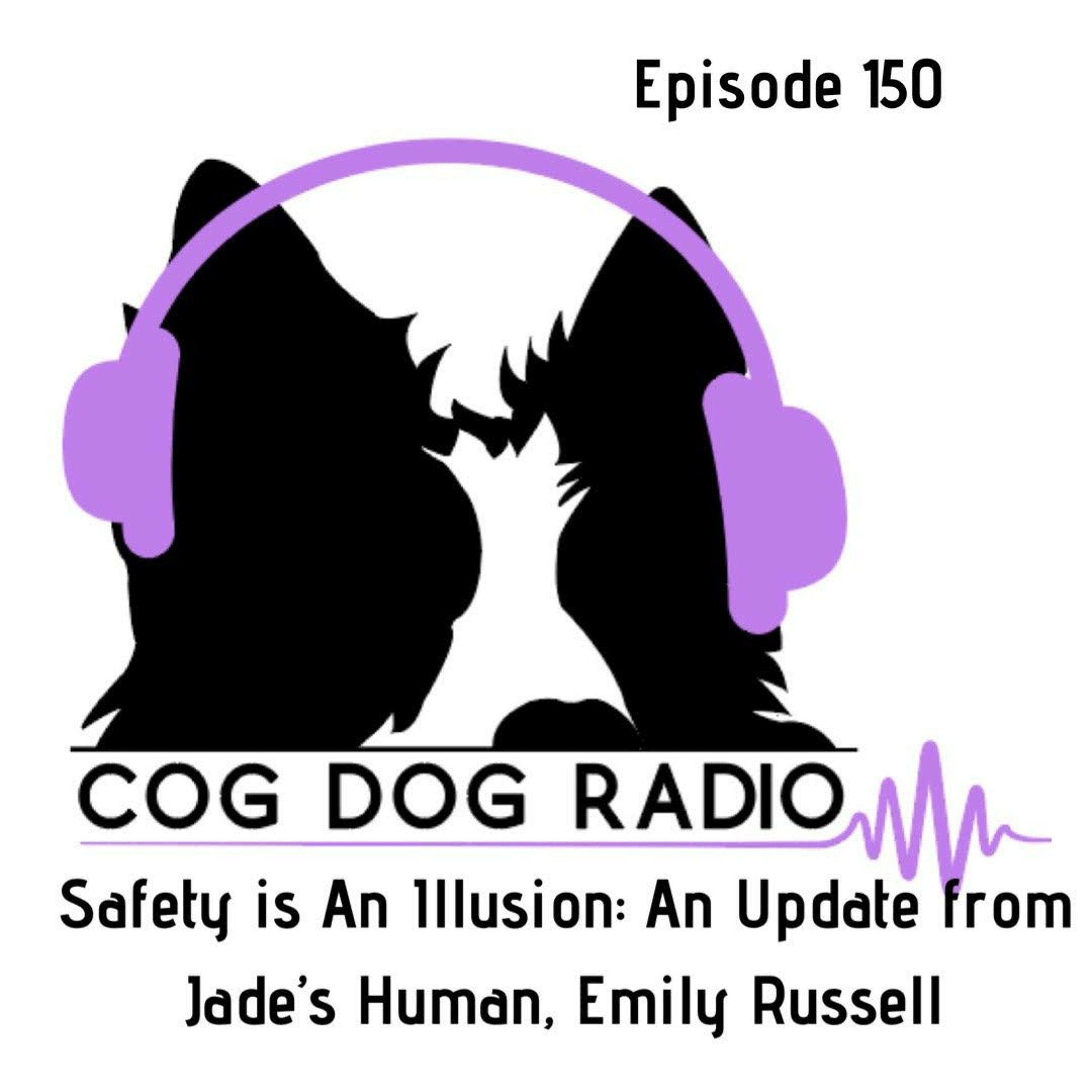 Safety is An Illusion: An Update from Jade's Human, Emily Russell