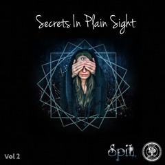 Secrets In Plain Sight 2